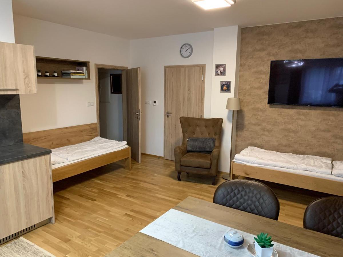 Apartmany Rezidence Klostermann & Javor Zelezna Ruda Bagian luar foto